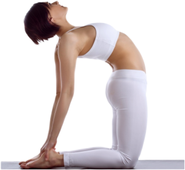 Flexi4Fit